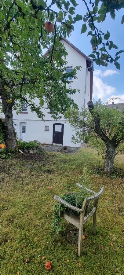 Ferienhaus Schuldienersch Biedenkopf Buitenkant foto